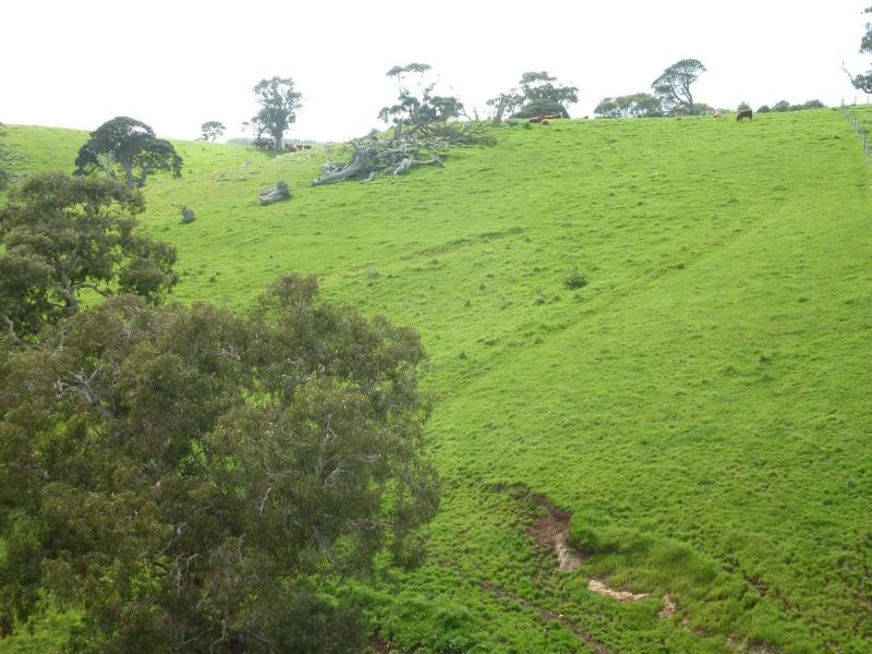 L51 Forktree Road, Carrickalinga SA 5204