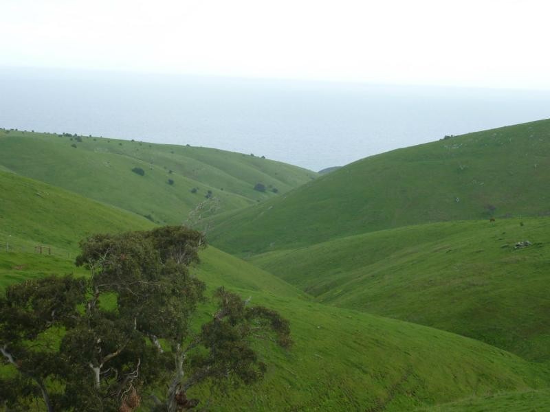 L51 Forktree Road, Carrickalinga SA 5204