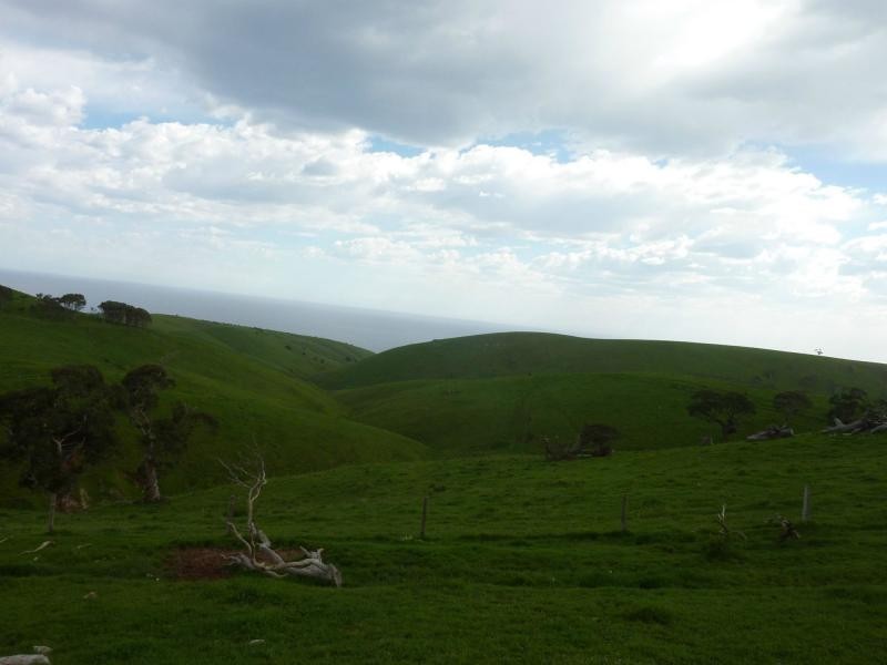 L51 Forktree Road, Carrickalinga SA 5204