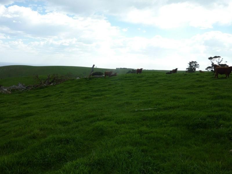 L51 Forktree Road, Carrickalinga SA 5204