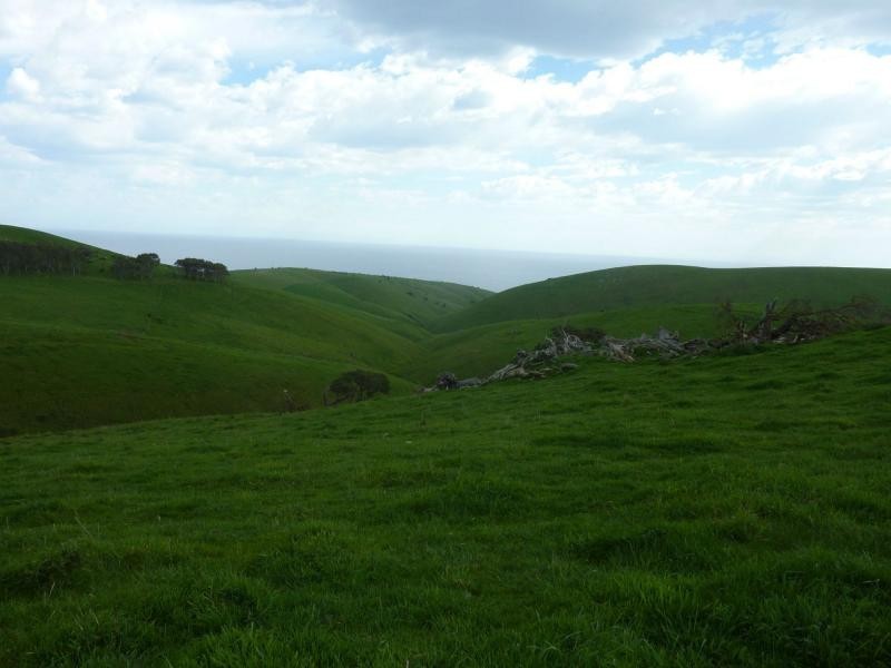 L51 Forktree Road, Carrickalinga SA 5204