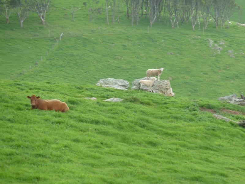 L51 Forktree Road, Carrickalinga SA 5204