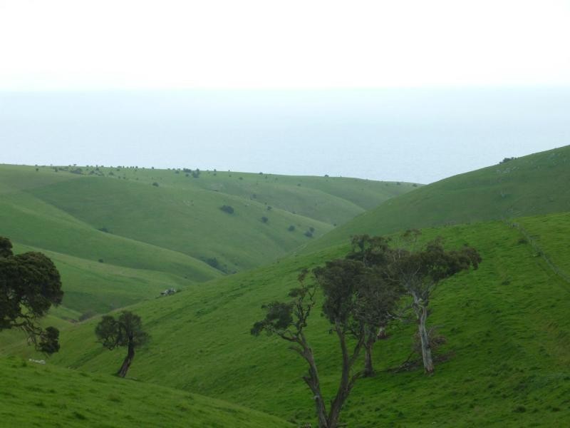 L51 Forktree Road, Carrickalinga SA 5204