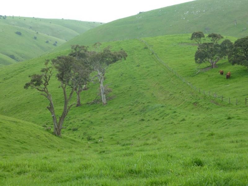 L51 Forktree Road, Carrickalinga SA 5204