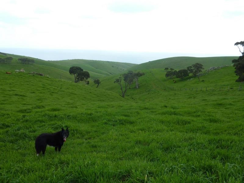 L51 Forktree Road, Carrickalinga SA 5204