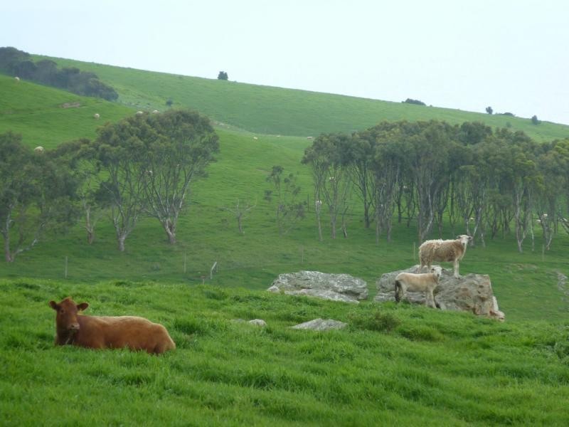 L51 Forktree Road, Carrickalinga SA 5204