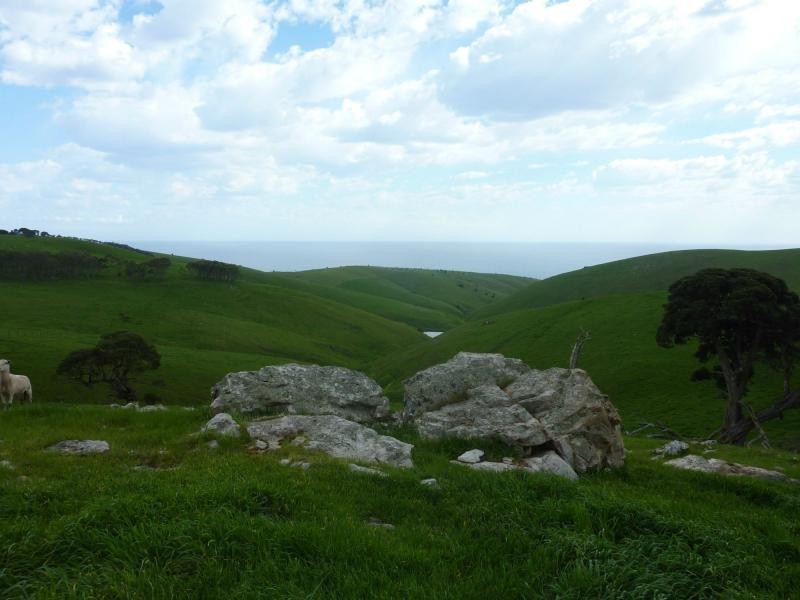 L51 Forktree Road, Carrickalinga SA 5204