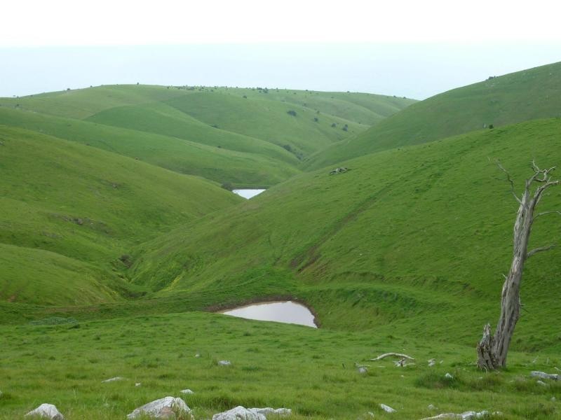 L51 Forktree Road, Carrickalinga SA 5204