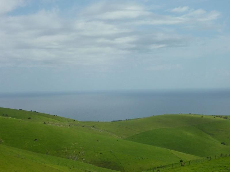 L52 Forktree Road, Carrickalinga SA 5204