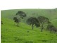 L52 Forktree Road, Carrickalinga SA 5204