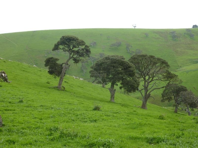L52 Forktree Road, Carrickalinga SA 5204