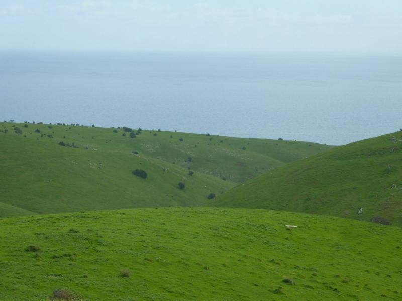 L52 Forktree Road, Carrickalinga SA 5204