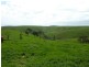 L52 Forktree Road, Carrickalinga SA 5204