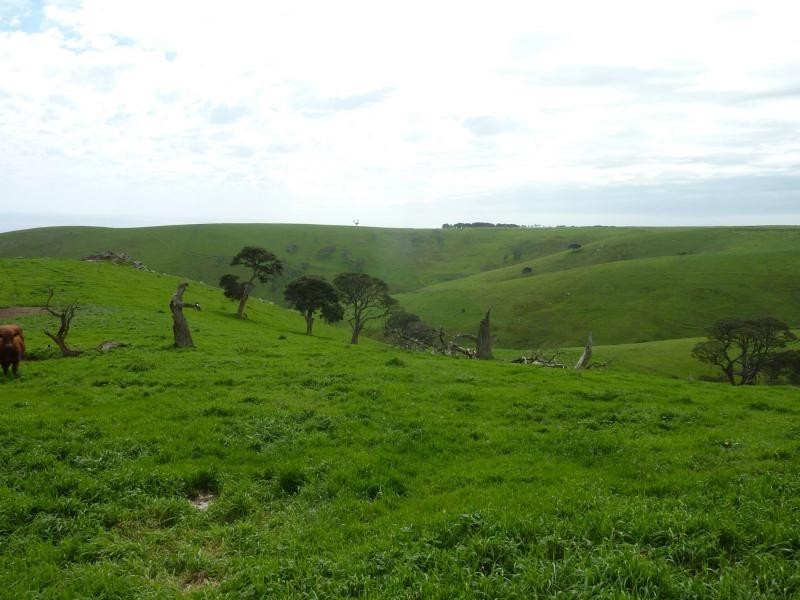 L52 Forktree Road, Carrickalinga SA 5204