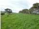 L52 Forktree Road, Carrickalinga SA 5204