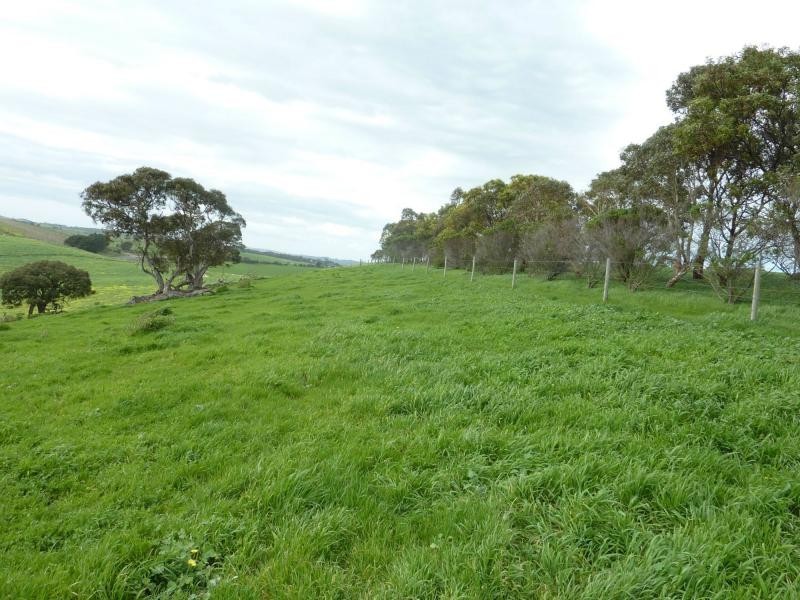 L52 Forktree Road, Carrickalinga SA 5204
