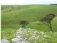 L52 Forktree Road, Carrickalinga SA 5204