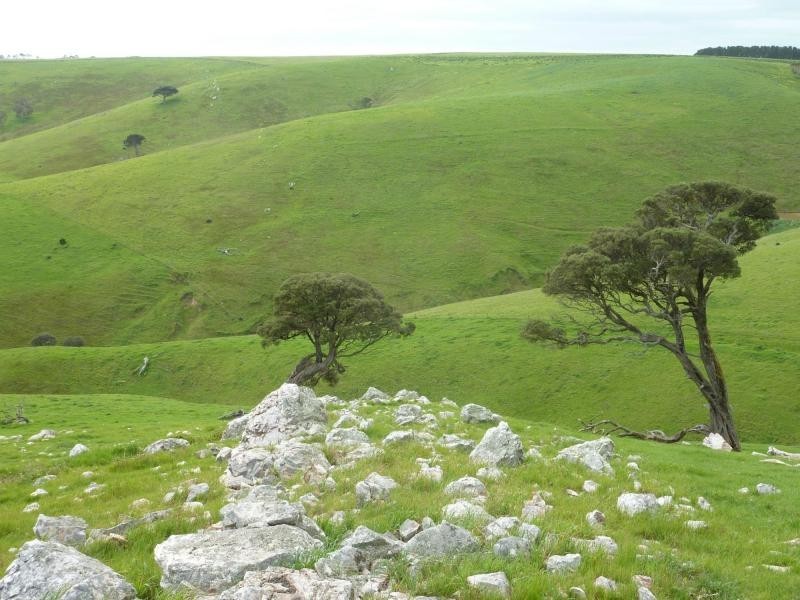 L52 Forktree Road, Carrickalinga SA 5204