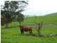 L52 Forktree Road, Carrickalinga SA 5204