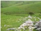 L52 Forktree Road, Carrickalinga SA 5204