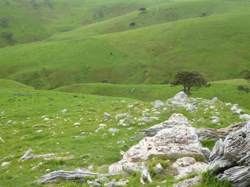 L52 Forktree Road, Carrickalinga SA 5204