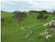 L52 Forktree Road, Carrickalinga SA 5204