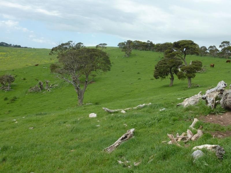 L52 Forktree Road, Carrickalinga SA 5204