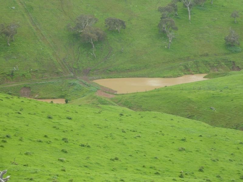 L52 Forktree Road, Carrickalinga SA 5204