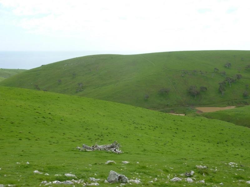 L52 Forktree Road, Carrickalinga SA 5204