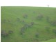 L52 Forktree Road, Carrickalinga SA 5204