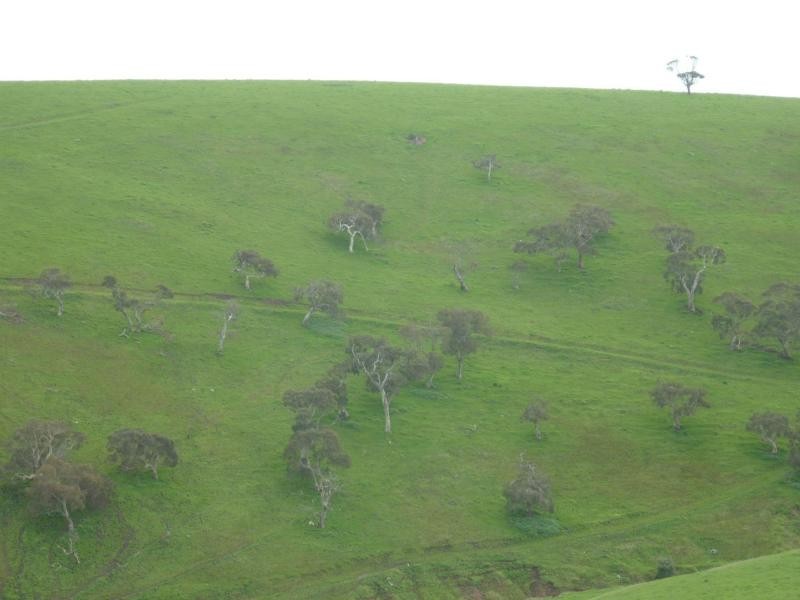 L52 Forktree Road, Carrickalinga SA 5204