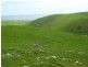L52 Forktree Road, Carrickalinga SA 5204