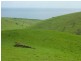 L52 Forktree Road, Carrickalinga SA 5204