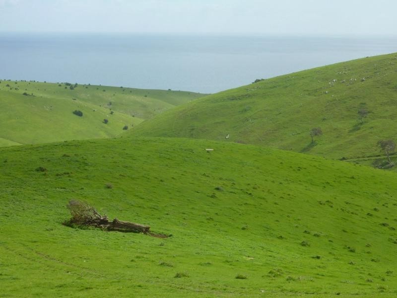 L52 Forktree Road, Carrickalinga SA 5204