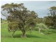 L52 Forktree Road, Carrickalinga SA 5204