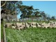13 and Sec 785 Springmount Road , Inman Valley, Inman Valley SA 5211