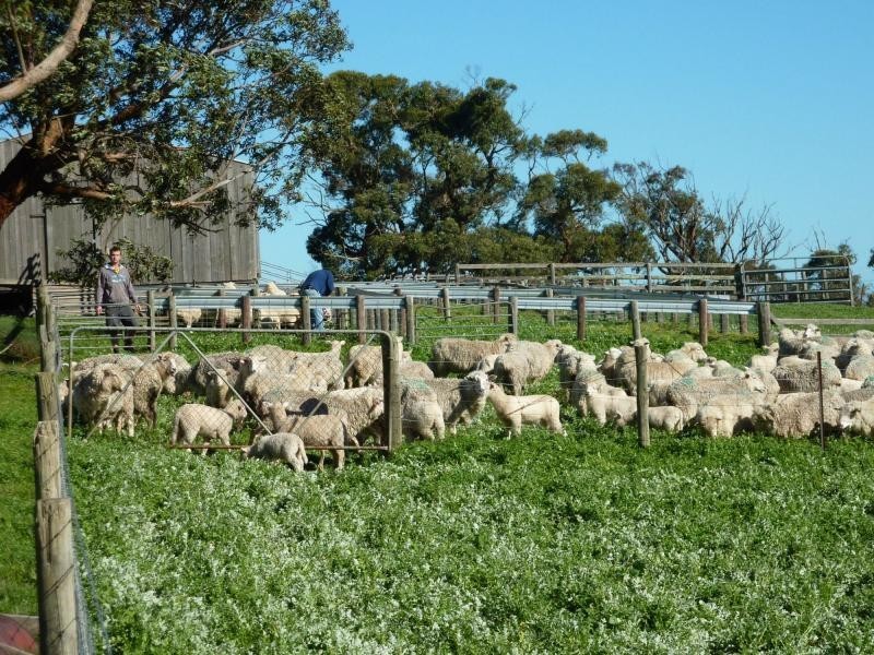 13 and Sec 785 Springmount Road , Inman Valley, Inman Valley SA 5211