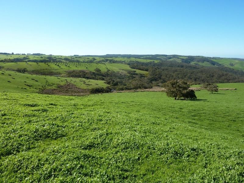 13 and Sec 785 Springmount Road , Inman Valley, Inman Valley SA 5211