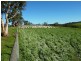 13 and Sec 785 Springmount Road , Inman Valley, Inman Valley SA 5211