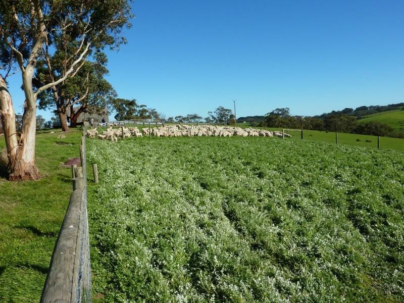 13 and Sec 785 Springmount Road , Inman Valley, Inman Valley SA 5211
