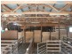 13 and Sec 785 Springmount Road , Inman Valley, Inman Valley SA 5211