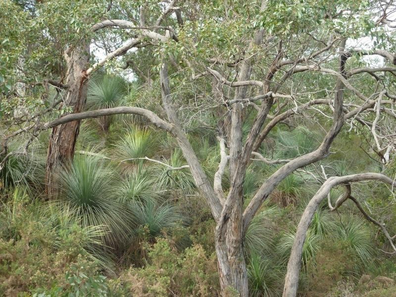 PL2 Mt Robinson Road , Currently Lot 2 Back Valley Rd, Back Valley SA 5211