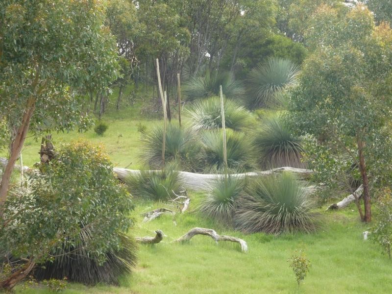 PL2 Mt Robinson Road , Currently Lot 2 Back Valley Rd, Back Valley SA 5211