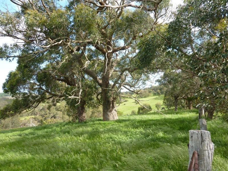 PL2 Mt Robinson Road , Currently Lot 2 Back Valley Rd, Back Valley SA 5211