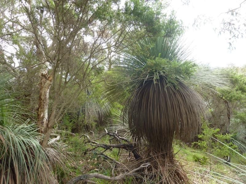 PL2 Mt Robinson Road , Currently Lot 2 Back Valley Rd, Back Valley SA 5211