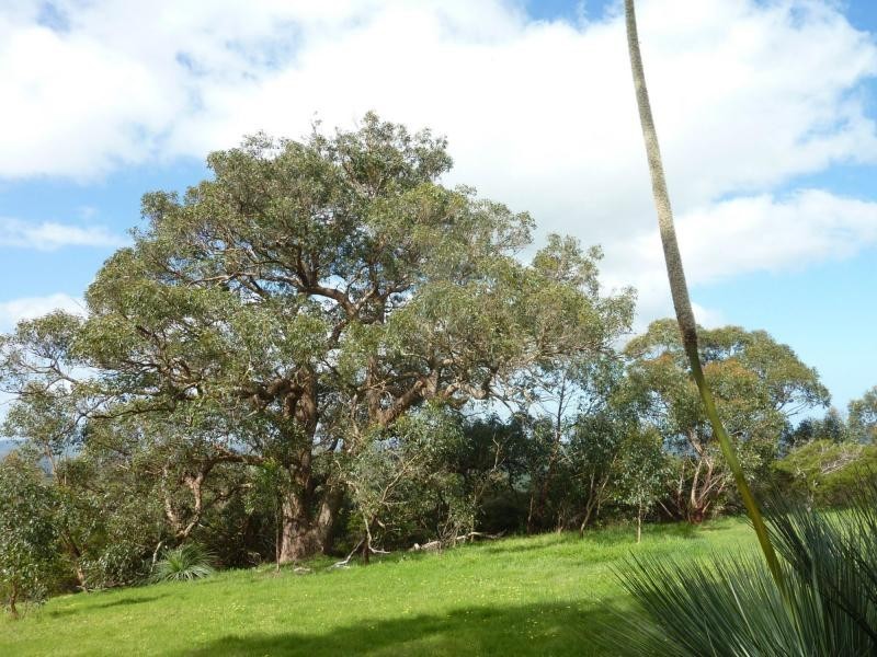 PL2 Mt Robinson Road , Currently Lot 2 Back Valley Rd, Back Valley SA 5211