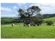 L91 Coomooloo Road, Bald Hills, Yankalilla SA 5203
