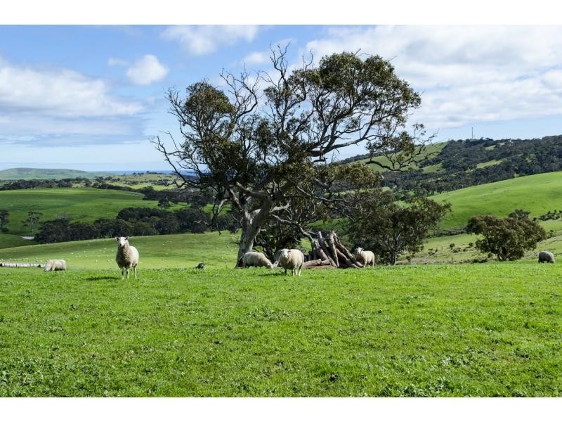 L91 Coomooloo Road, Bald Hills, Yankalilla SA 5203