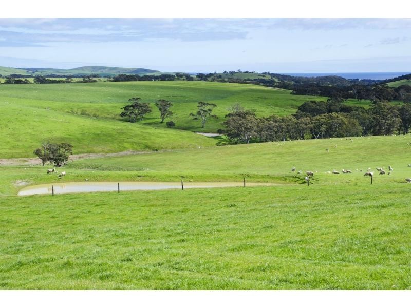 L91 Coomooloo Road, Bald Hills, Yankalilla SA 5203