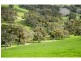 L91 Coomooloo Road, Bald Hills, Yankalilla SA 5203